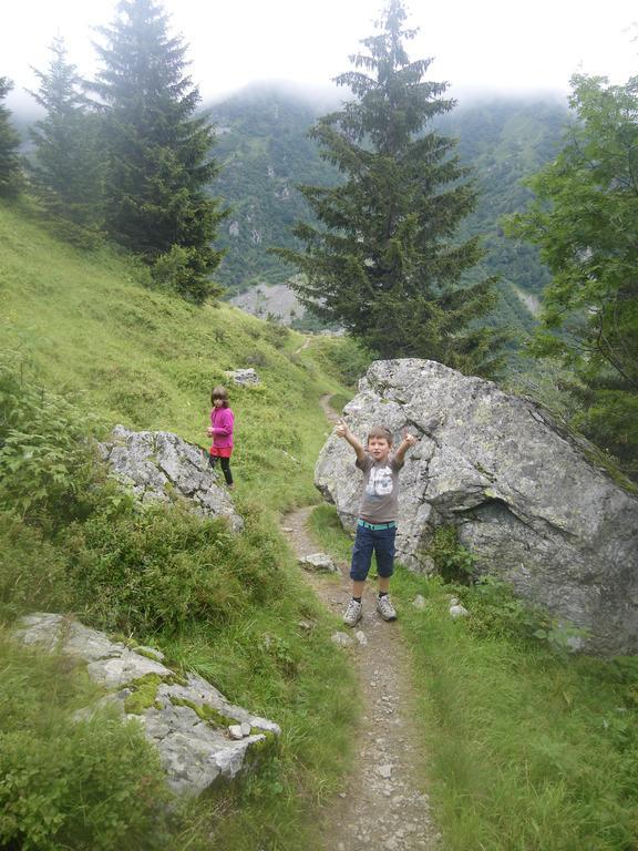 Gite Le Cerf De Belledonne Sainte-Agnès Dış mekan fotoğraf