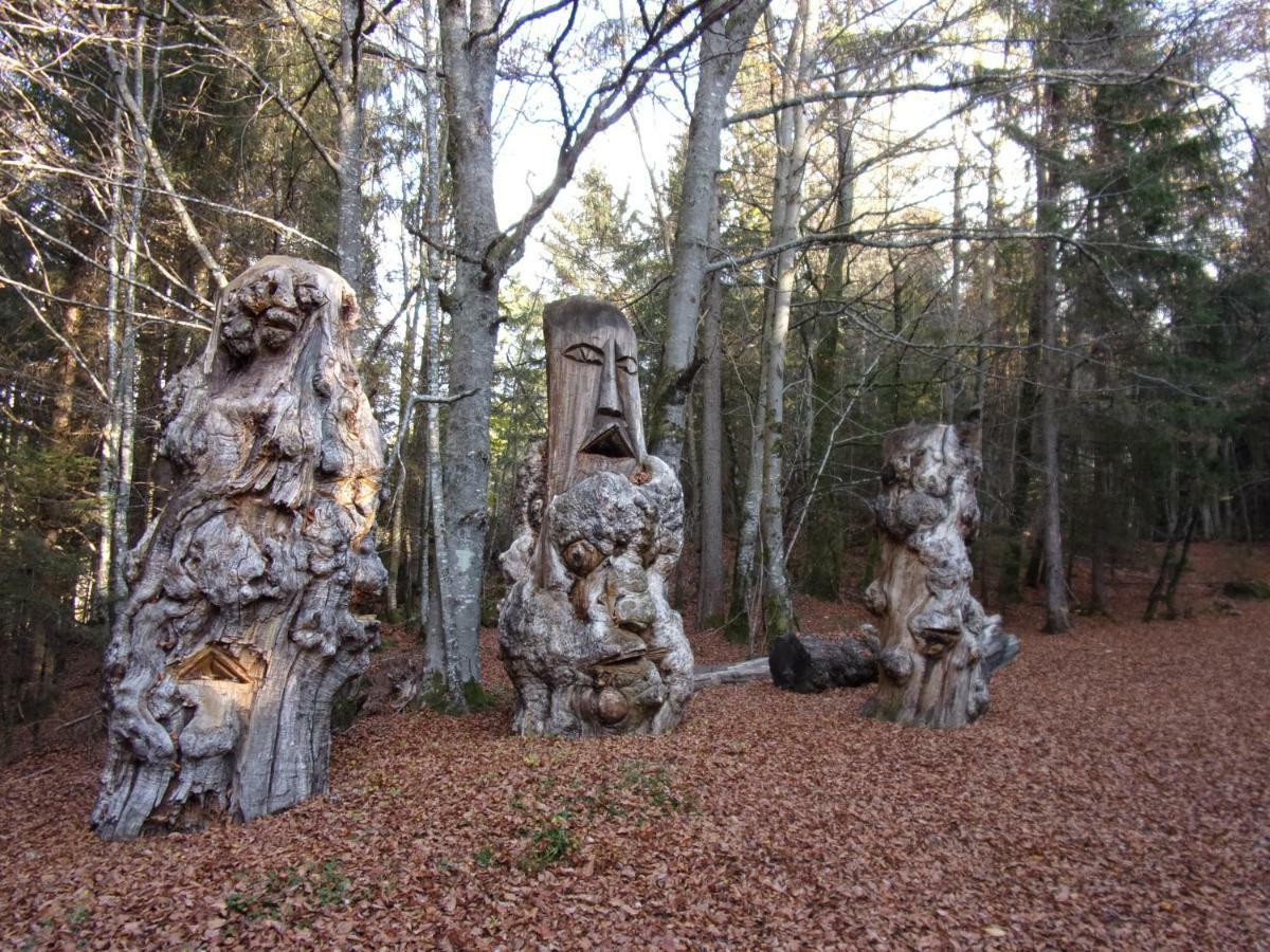 Gite Le Cerf De Belledonne Sainte-Agnès Dış mekan fotoğraf
